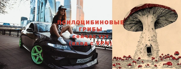 spice Армянск