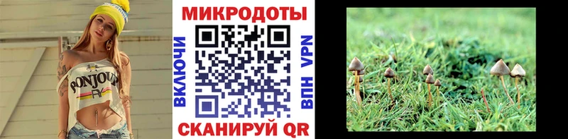 Псилоцибиновые грибы Psilocybine cubensis  Среднеуральск 